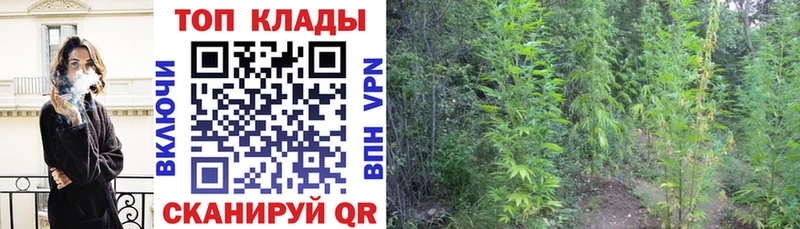 Купить наркотик Давлеканово Конопля  blacksprut tor  Меф мяу мяу  A PVP 